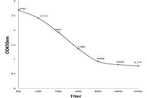 Antigen: 0. (Beta Lactoglobulin (LGB) (AA 51-130) antibody)