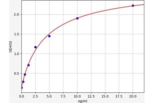 UBE2A ELISA Kit