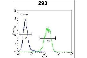 PCOTH Antibody (Center) (ABIN654598 and ABIN2844298) flow cytometric analysis of 293 cells (right histogram) compared to a negative control cell (left histogram). (PCOTH antibody  (AA 14-42))