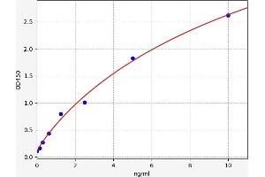 Typical standard curve (KLF13 ELISA Kit)