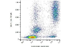 Surface staining of CD16 in human peripheral blood with anti-CD16 (3G8) purified / GAM-APC. (CD16 antibody)