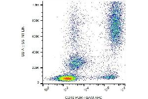 Surface staining of CD16 in human peripheral blood with anti-CD16 (3G8) purified / GAM-APC.