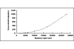 ELISA image for Insulin-Like Growth Factor 2 (IGF2) CLIA Kit (ABIN491765)