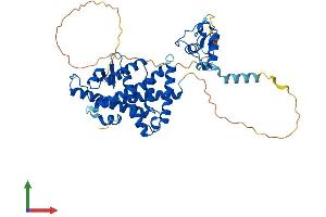 AlphaFold protein structure predicition of Mouse Recombinant Nr1h2 Protein, UniprotID Q60644 (NR1H2 Protein (AA 1-446) (His tag))