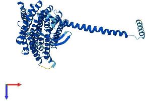 MT-ND5 Protein (AA 1-603) (His tag)
