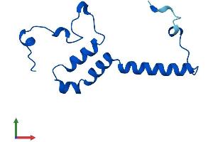 Protein Structure (PS) image for NADH Dehydrogenase (Ubiquinone) Fe-S Protein 5, 15kDa (NADH-Coenzyme Q Reductase) (NDUFS5) (AA 1-106) protein (His tag) (ABIN7560390)