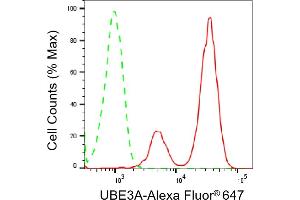 Flow cytometric analysis of UBE3A expression in HAP-1 cells using UBE3A antibody (ABIN7800722), 1:2,000).