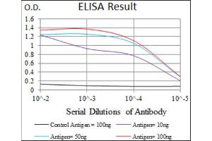 Red: Control Antigen (100ng) ; Purple: Antigen (10ng) ; Green: Antigen (50ng) ; Blue: Antigen (100ng). (Paired Box 3 antibody  (AA 142-203))