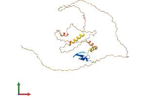 AlphaFold protein structure predicition of Human Recombinant CPXCR1 Protein, UniprotID Q8N123