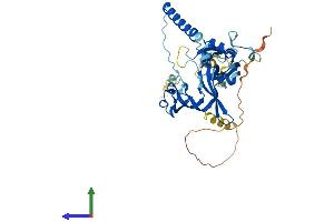 Protein Structure (PS) image for Purinergic Receptor P2X, Ligand-Gated Ion Channel, 5 (P2RX5) (AA 1-422) protein (His tag) (ABIN7550271)