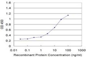 Detection limit for recombinant GST tagged NCOA4 is approximately 0. (NCOA4 antibody  (AA 505-614))