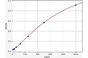 Agouti Related Protein Homolog (Mouse) (AGRP) ELISA Kit
