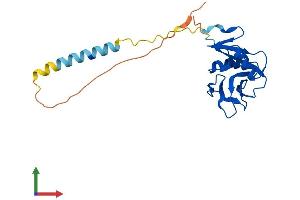 AlphaFold protein structure predicition of Mouse Recombinant Clec2f Protein, UniprotID Q8VI21 (Clec2f Protein (AA 1-196) (His tag))