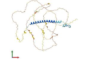 Protein Structure (PS) image for Coiled-Coil Domain Containing 86 (CCDC86) (AA 1-426) protein (His tag) (ABIN7561574)