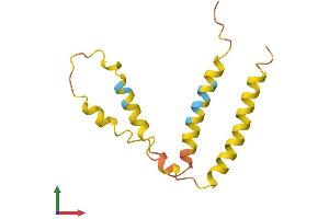 AlphaFold protein structure predicition of Human Recombinant TMEM14EP Protein, UniprotID Q6UXP3 (TMEM14E Protein (AA 1-125) (His tag))