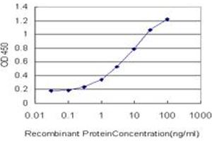 Detection limit for recombinant GST tagged MSI1 is approximately 0. (MSI1 antibody  (AA 1-87))