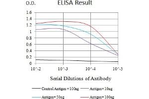 Black line: Control Antigen (100 ng),Purple line: Antigen (10 ng), Blue line: Antigen (50 ng), Red line:Antigen (100 ng) (MUC5B antibody  (AA 26-166))