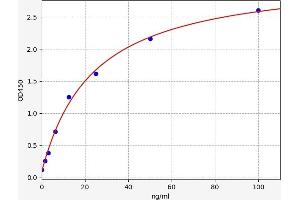 Typical standard curve (Hemoglobin Subunit beta ELISA Kit)