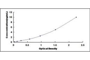 Typical standard curve (NCDN ELISA Kit)