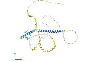 AlphaFold protein structure predicition of Mouse Recombinant Sfr1 Protein, UniprotID Q8BP27