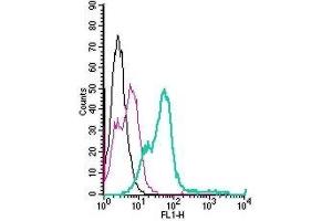 Cell surface detection of Nogo Receptor in live intact mouse BV-2 microglia cells: (black line) Cells. (RTN4R antibody  (Extracellular) (FITC))
