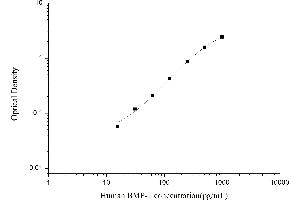 BMP1 ELISA Kit