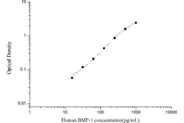 BMP1 ELISA Kit