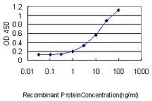 Detection limit for recombinant GST tagged TMEPAI is approximately 1ng/ml as a capture antibody. (PMEPA1 antibody  (AA 181-280))