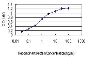 Detection limit for recombinant GST tagged CDKL4 is approximately 0. (CDKL4 antibody  (AA 196-295))