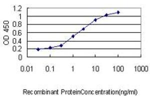 Detection limit for recombinant GST tagged MYCN is approximately 0. (MYCN antibody  (AA 1-100))