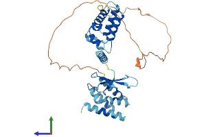 AlphaFold protein structure predicition of Mouse Recombinant Tcea3 Protein, UniprotID P23881