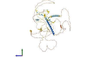 AlphaFold protein structure predicition of Human Recombinant CRTC1 Protein, UniprotID Q6UUV9 (CRTC1 Protein (AA 1-634) (His tag))