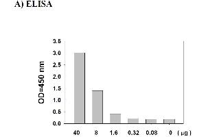 c-MET ELISA Kit