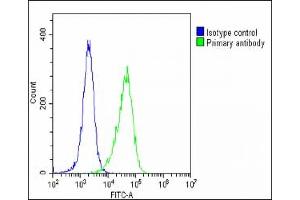 Overlay histogram showing Hela cells stained with A(green line). (Clusterin antibody  (N-Term))