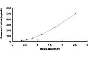 Typical standard curve (FGF6 ELISA Kit)