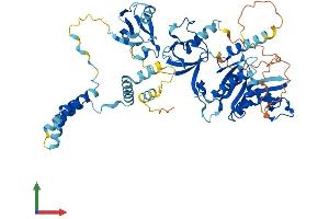 AlphaFold protein structure predicition of Human Recombinant MPP3 Protein, UniprotID Q13368 (MPP3 Protein (AA 1-585) (His tag))