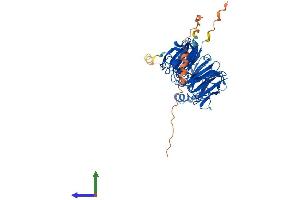 Protein Structure (PS) image for Secretion Regulating Guanine Nucleotide Exchange Factor (SERGEF) (AA 1-458) protein (His tag) (ABIN7546240)