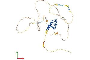 AlphaFold protein structure predicition of Human Recombinant HOXD1 Protein, UniprotID Q9GZZ0