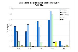 Chromatin Immunoprecipitation for Mouse Anti-Pol II S2p Antibody. (POLR2A/RPB1 antibody  (pSer2))