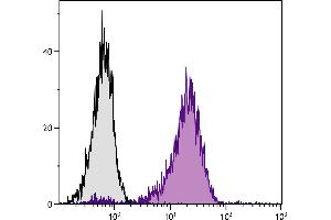 AKR/Cum mouse T lymphocyte cell line TK-1 was stained with Rat Anti-Mouse LPAM-1-BIOT. (ITGA4 antibody)