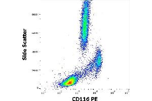 Flow cytometry surface staining pattern of human peripheral whole blood stained using anti-human CD116 (4H1) PE antibody (10 μL reagent / 100 μL of peripheral whole blood). (CSF2RA antibody  (PE))