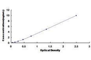 Sphingosine-1-Phosphate Phosphatase 2 (SGPP2) ELISA Kit