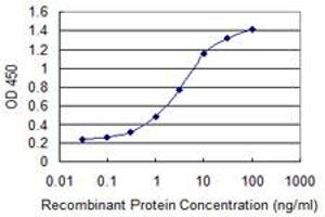 Detection limit for recombinant GST tagged STC1 is 0. (Stanniocalcin 1 antibody  (AA 141-247))