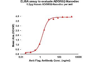 ELISA image for G Protein-Coupled Receptor 64 (GPR64) protein (ABIN7491537)