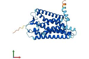 AlphaFold protein structure predicition of Human Recombinant OR11H7 Protein, UniprotID Q8NGC8 (OR11H7 Protein (AA 1-314) (His tag))