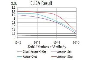 Black line: Control Antigen (100 ng),Purple line: Antigen (10 ng), Blue line: Antigen (50 ng), Red line:Antigen (100 ng) (PRKAG3 antibody  (AA 9-151))