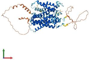 AlphaFold protein structure predicition of Human Recombinant SLC38A4 Protein, UniprotID Q969I6