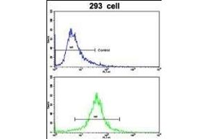 Flow cytometric analysis of 293 cells using IDH1 Antibody (N-term)(bottom histogram) compared to a negative control cell (top histogram). (IDH1 antibody  (N-Term))