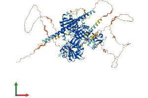AlphaFold protein structure predicition of Human Recombinant SIPA1 Protein, UniprotID Q96FS4 (SIPA1 Protein (AA 1-1042) (His tag))