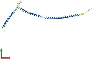 Protein Structure (PS) image for Suppressor of IKBKE 1 (SIKE1) (AA 1-207) protein (His tag) (ABIN7560474)